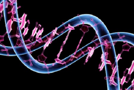 Genética, clave en el SNS para mejorar la salud de los ciudadanos
