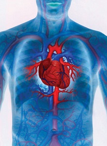 Presión arterial e incidencia de enfermedades cardiovasculares