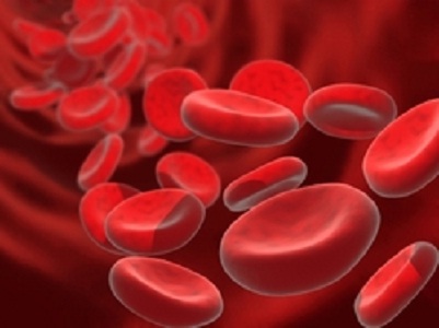 ¿Qué es la anemia de la insuficiencia renal crónica?