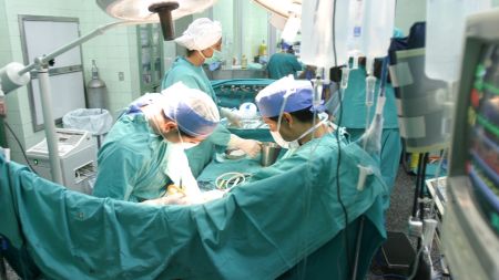 La ONT inicia la formación de 30 profesionales iberoamericanos en coordinación de trasplantes, que implantarán el modelo español en sus países