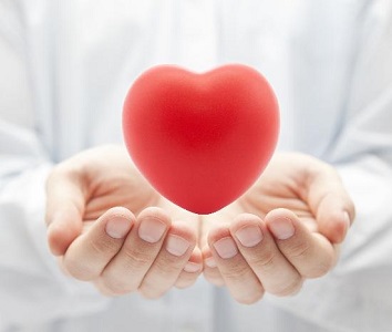 Células madre que reparan el corazón infartado, listas para usar
