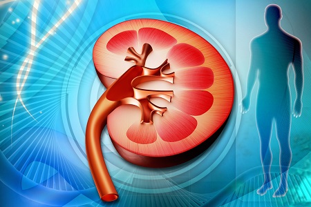 ¿Qué es la enfermedad renal ateroémbolica?