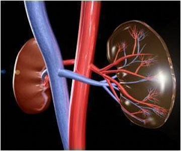 Alopurinol, progresión de la enfermedad renal crónica y prevención de la enfermedad cardiovascular
