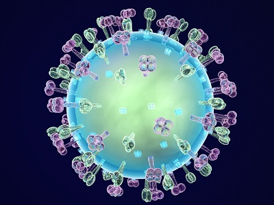 Investigadores descubren la manera de prevenir la gripe sin vacuna antes de que se produzca la infección (PLoS Pathog)