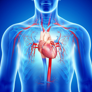 Insuficiencia cardíaca: ¿En qué consiste?
