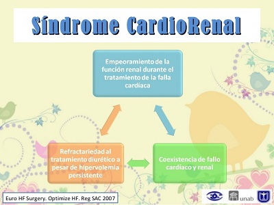 El síndrome cardiorrenal. Parte 2