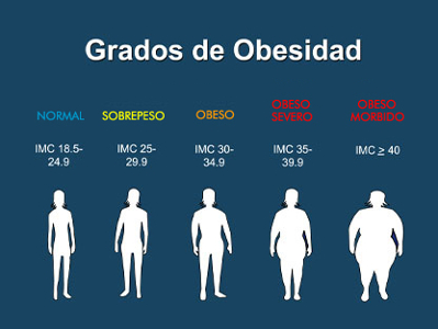 La obesidad y la Enfermedad renal