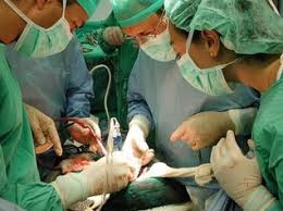 Trasplante renal ortotópico