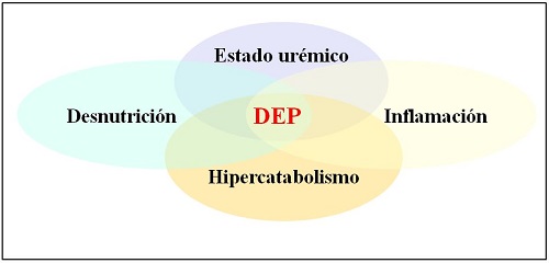 Criterios diagnósticos de desgaste proteico energético
